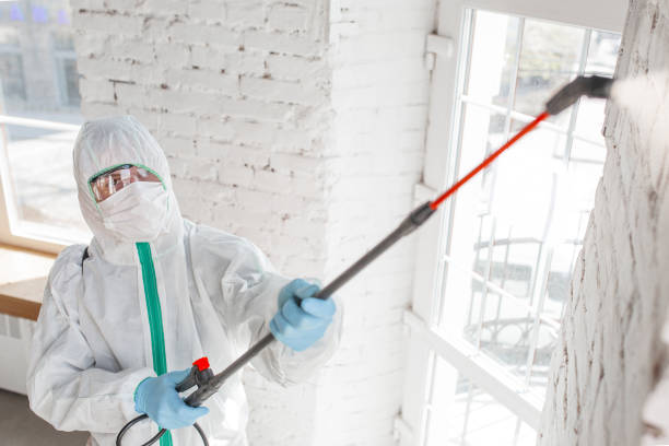 Mold Remediation for Vacation Homes in Tularosa, NM